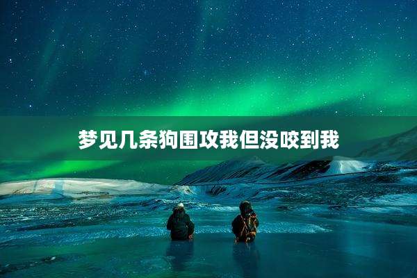 梦见几条狗围攻我但没咬到我