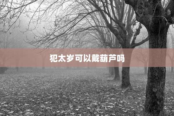 犯太岁可以戴葫芦吗