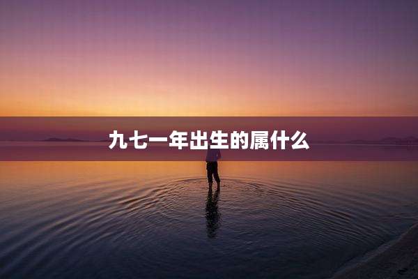 九七一年出生的属什么