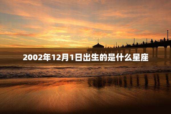 2002年12月1日出生的是什么星座