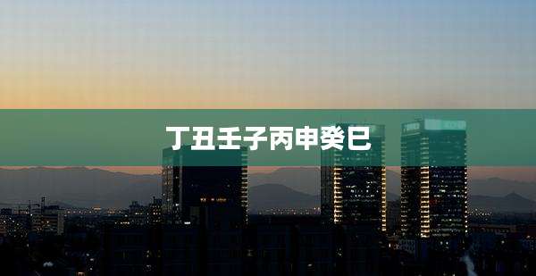 丁丑壬子丙申癸巳