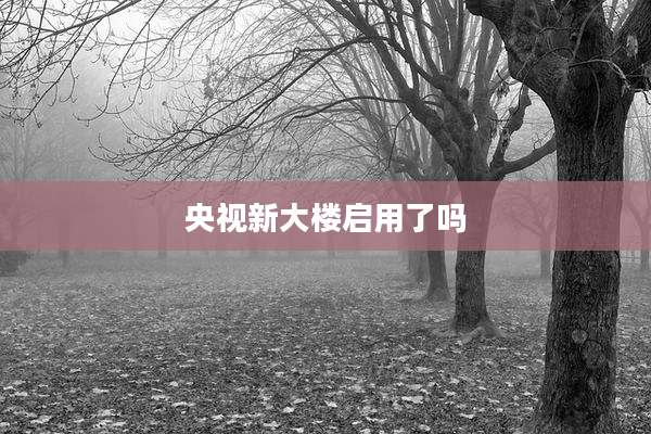 央视新大楼启用了吗