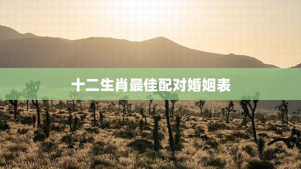 十二生肖最佳配对婚姻表