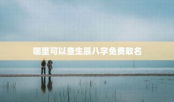 哪里可以查生辰八字免费取名