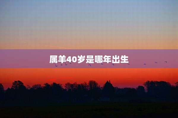 属羊40岁是哪年出生
