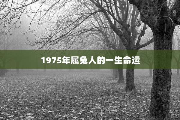 1975年属兔人的一生命运