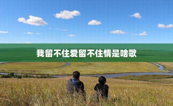 我留不住爱留不住情是啥歌