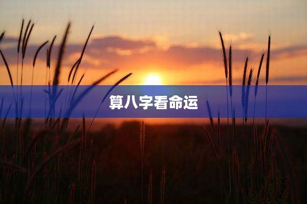 算八字看命运