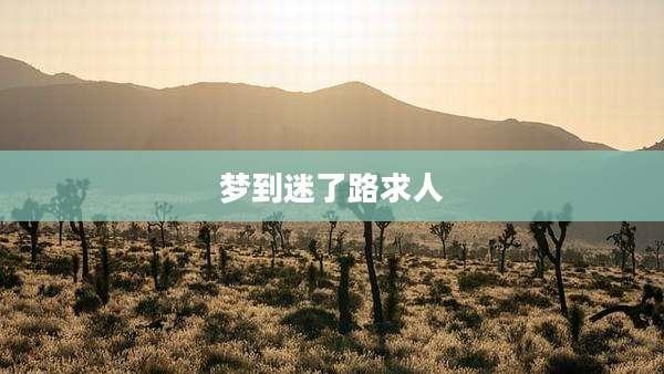 梦到迷了路求人