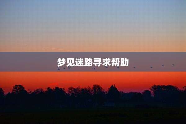 梦见迷路寻求帮助