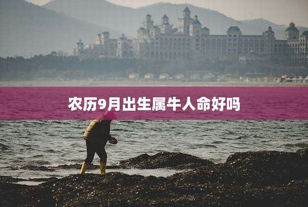 农历9月出生属牛人命好吗