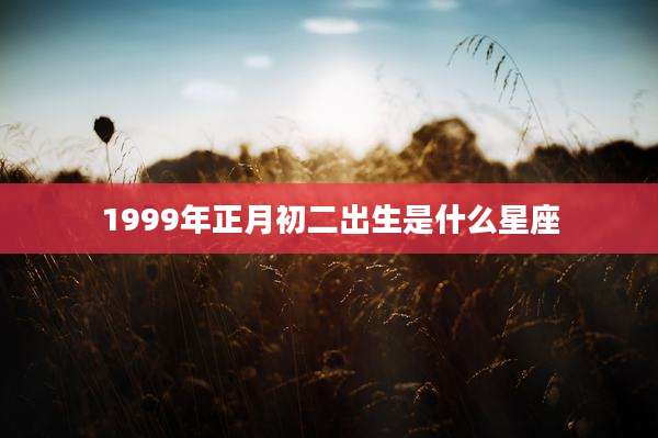 1999年正月初二出生是什么星座