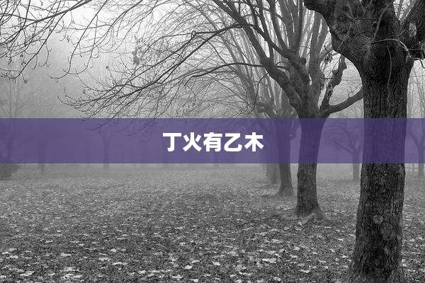 丁火有乙木