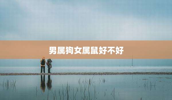 男属狗女属鼠好不好