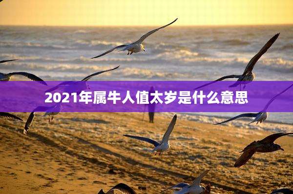 2021年属牛人值太岁是什么意思