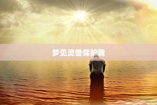 梦见灵兽保护我