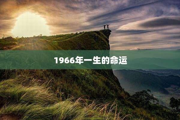 1966年一生的命运