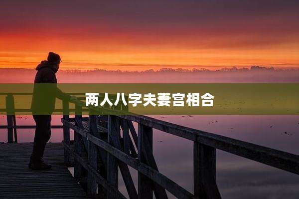 两人八字夫妻宫相合