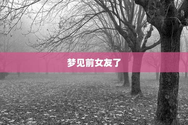 梦见前女友了