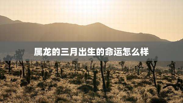 属龙的三月出生的命运怎么样
