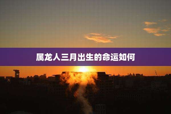 属龙人三月出生的命运如何