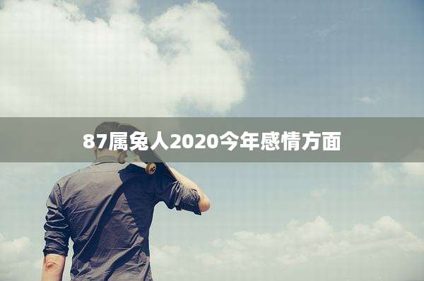 87属兔人2020今年感情方面