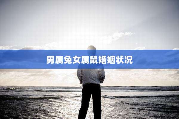 男属兔女属鼠婚姻状况
