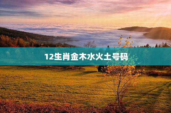 12生肖金木水火土号码