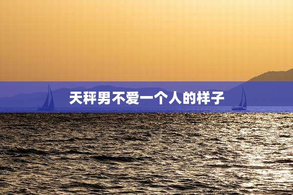 天秤男不爱一个人的样子
