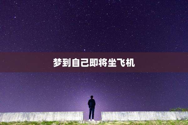 梦到自己即将坐飞机