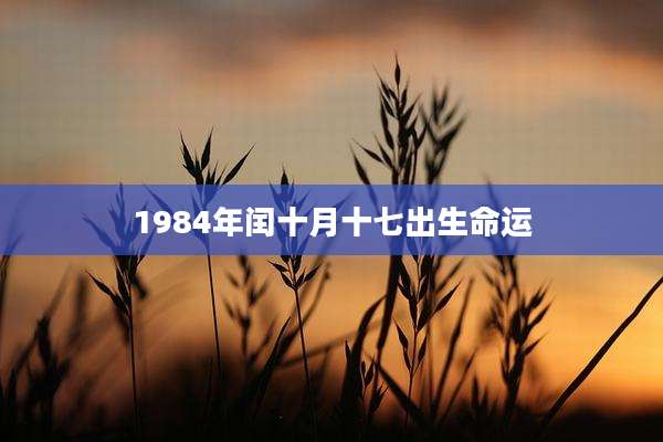 1984年闰十月十七出生命运