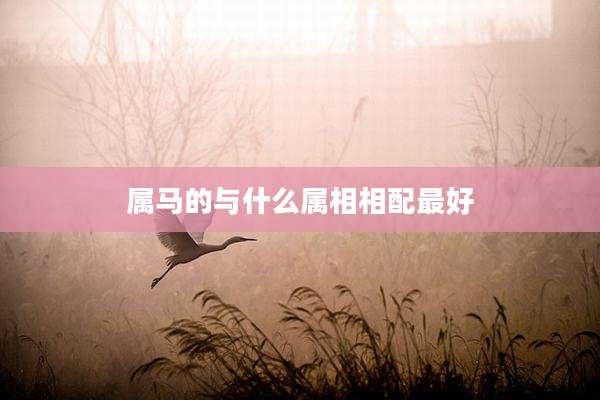 属马的与什么属相相配最好