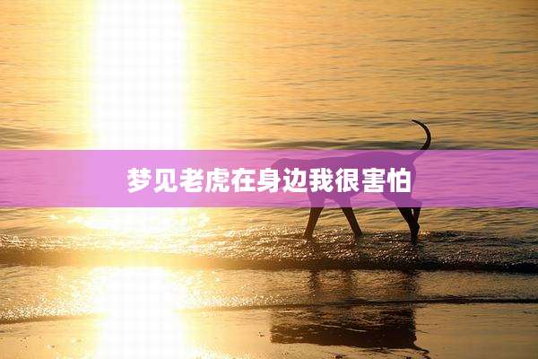 梦见老虎在身边我很害怕