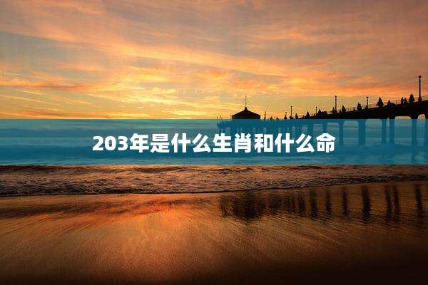 203年是什么生肖和什么命