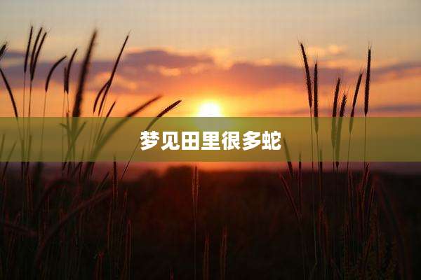 梦见田里很多蛇
