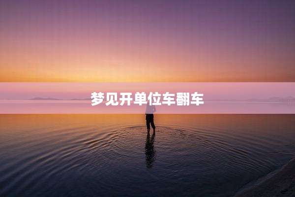 梦见开单位车翻车