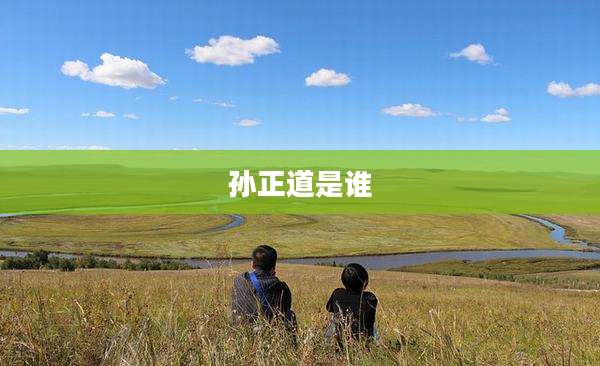 孙正道是谁