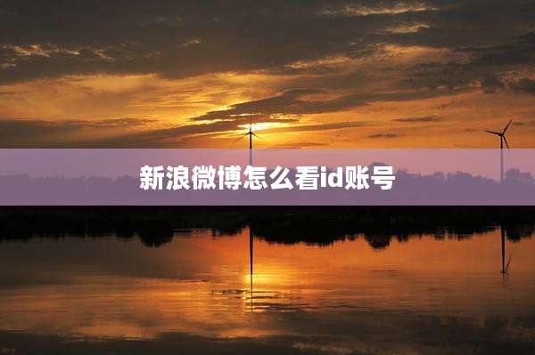新浪微博怎么看id账号