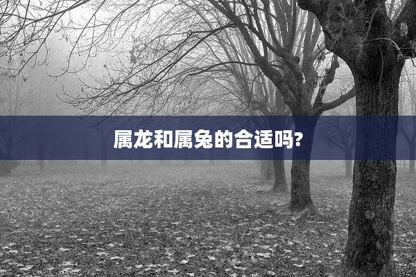 属龙和属兔的合适吗?