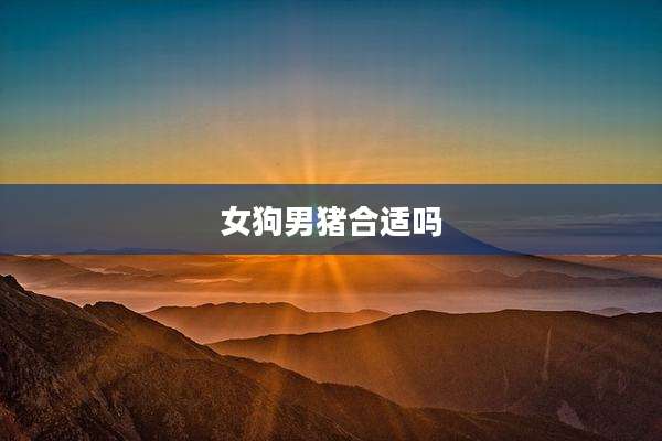 女狗男猪合适吗