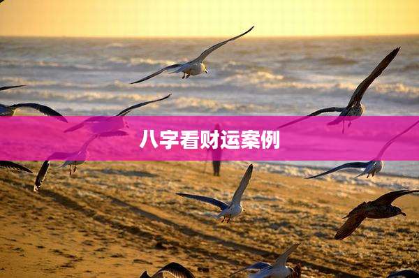 八字看财运案例