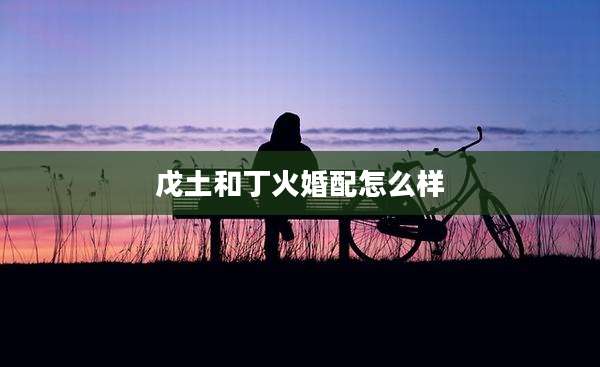 戊土和丁火婚配怎么样