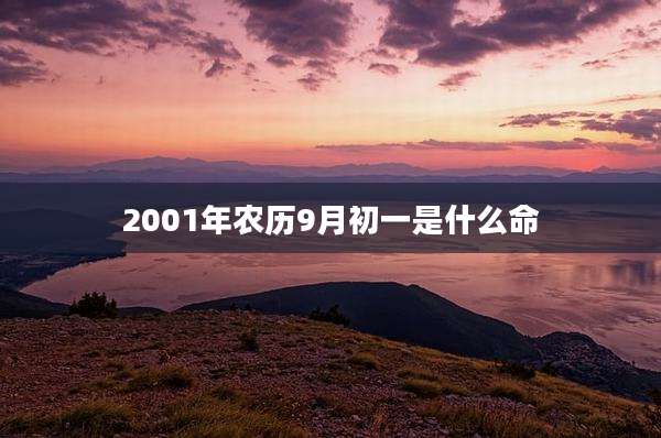 2001年农历9月初一是什么命