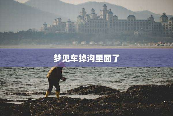 梦见车掉沟里面了