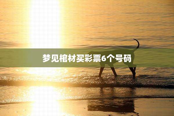 梦见棺材买彩票6个号码