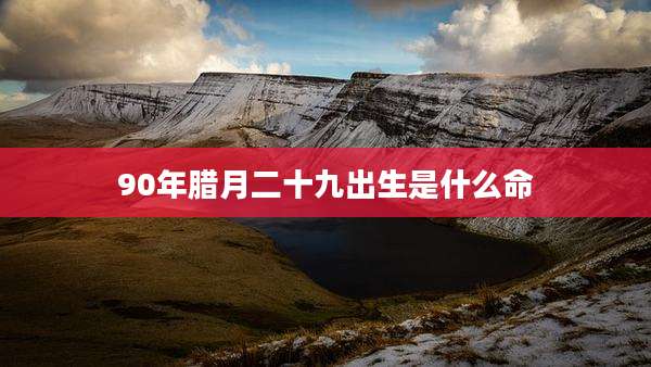 90年腊月二十九出生是什么命