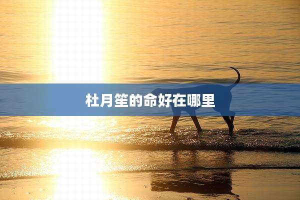 杜月笙的命好在哪里