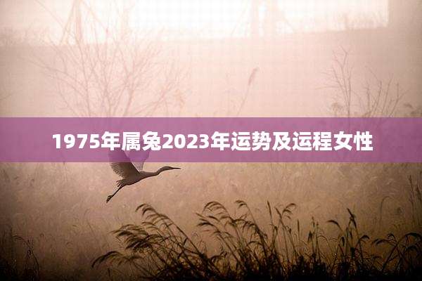 1975年属兔2023年运势及运程女性