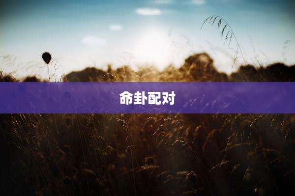 命卦配对