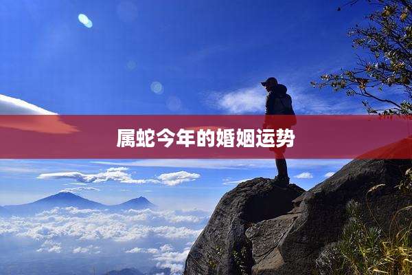 属蛇今年的婚姻运势